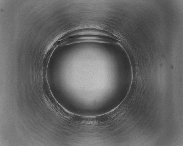 X0000055990440200509021642