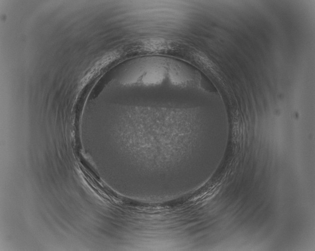 X0000055990443200509021642