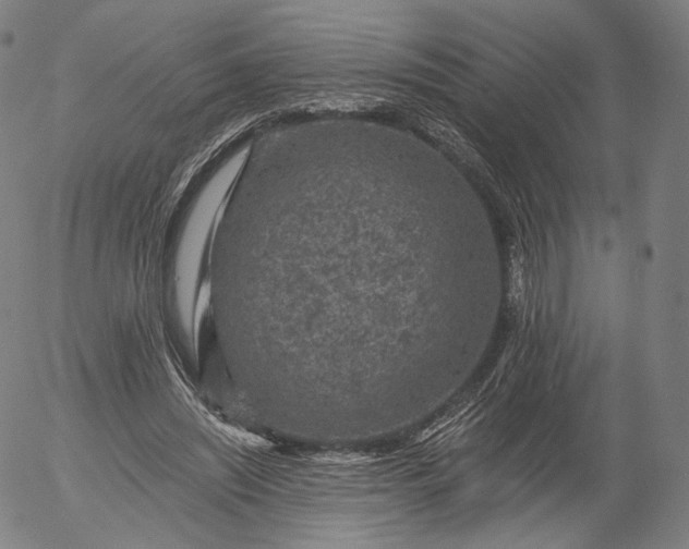 X0000055990444200509021642