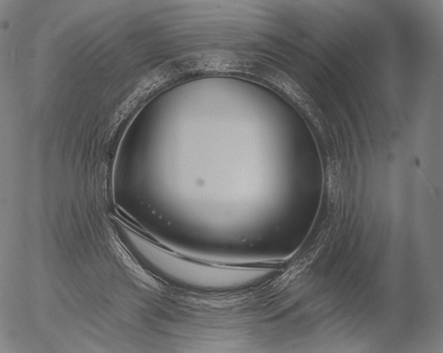 X0000055990445200509021642