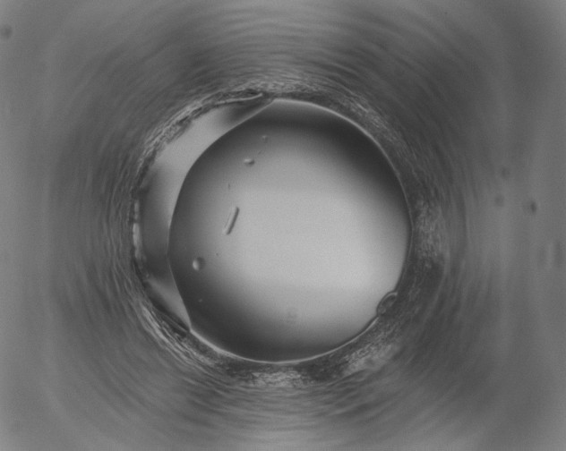 X0000055990446200509021642