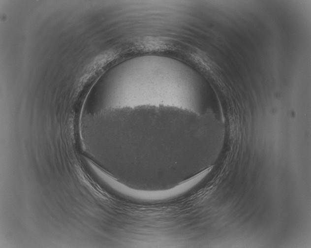 X0000055990447200509021642