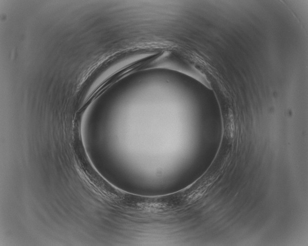 X0000055990448200509021642