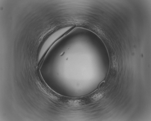 X0000055990450200509021642