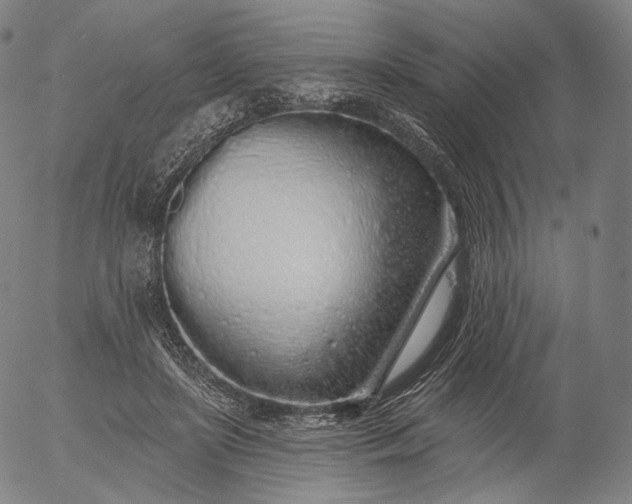 X0000055990451200509021642