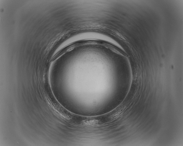 X0000055990452200509021642