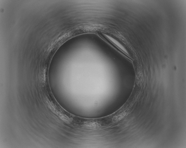 X0000055990454200509021643