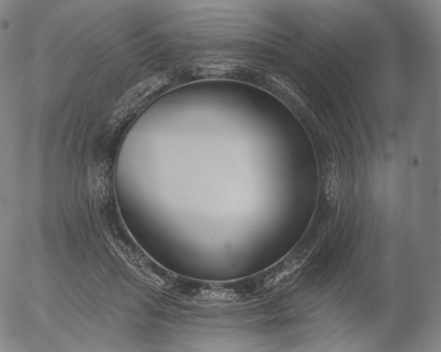 X0000055990455200509021643