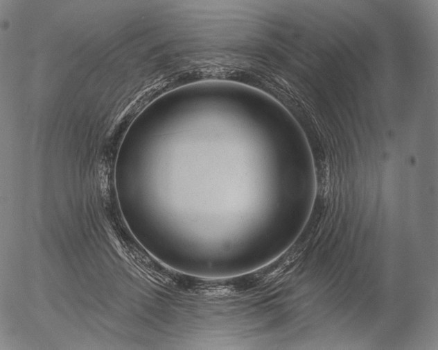 X0000055990456200509021643