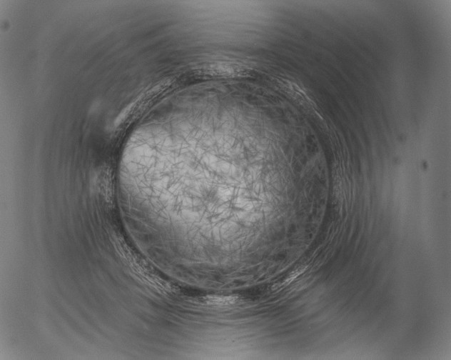 X0000055990457200509021643