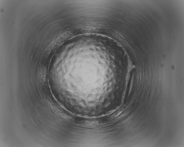 X0000055990458200509021643