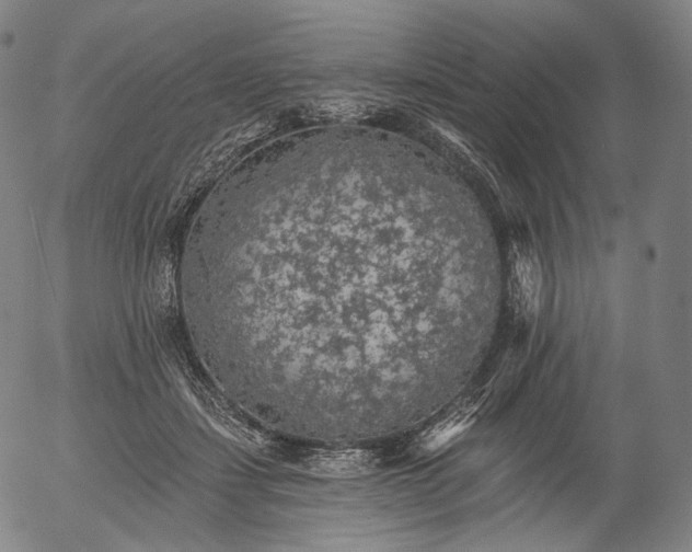 X0000055990459200509021643