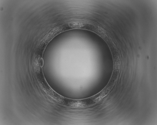 X0000055990460200509021643