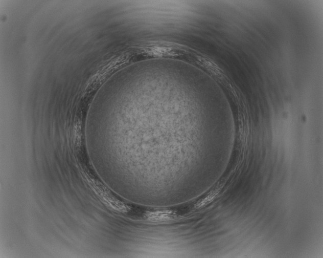 X0000055990461200509021643