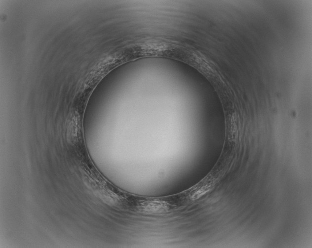 X0000055990463200509021643