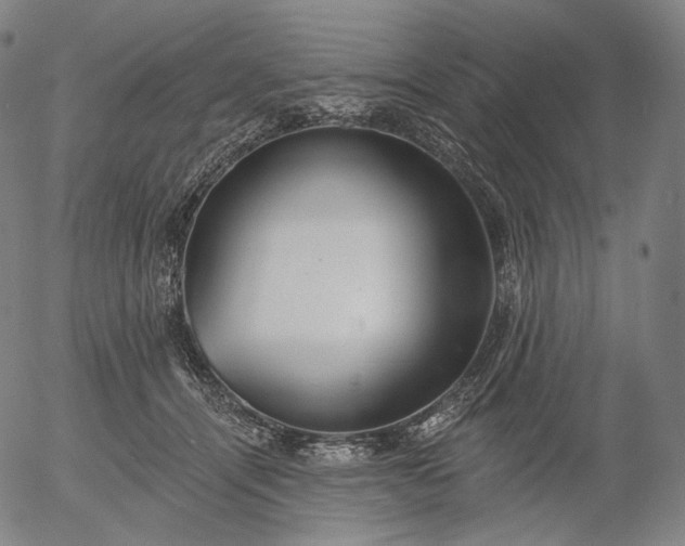 X0000055990464200509021643