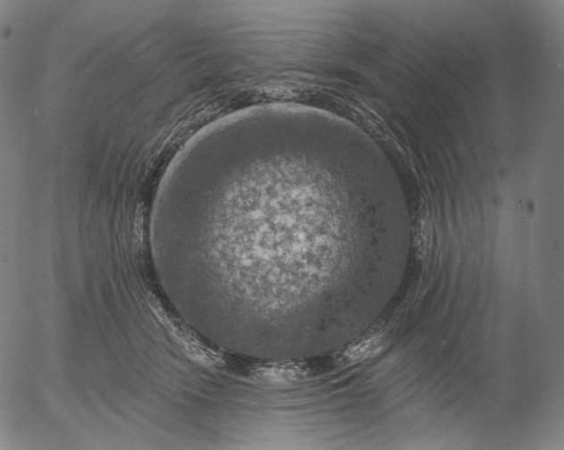 X0000055990466200509021643