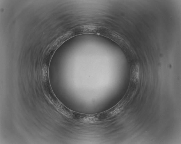 X0000055990468200509021643