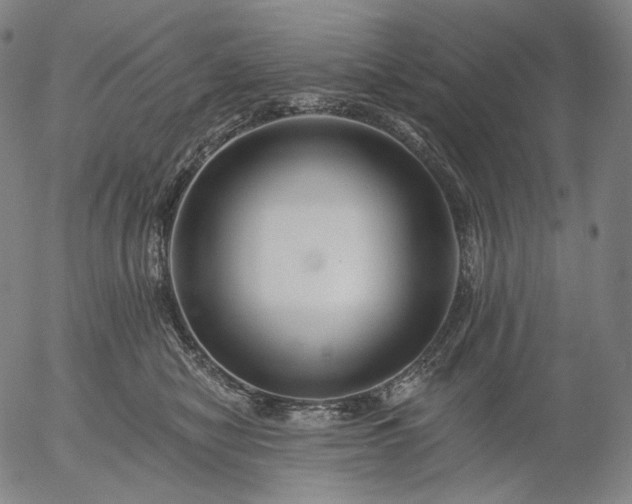 X0000055990470200509021643