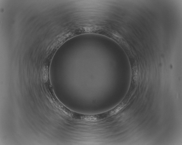 X0000055990471200509021643