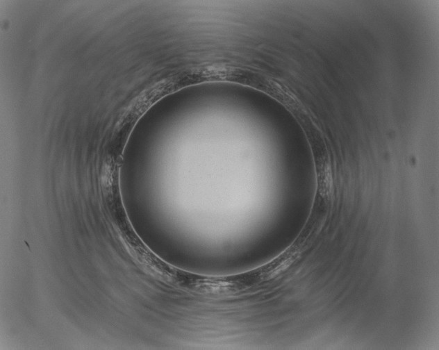 X0000055990472200509021643