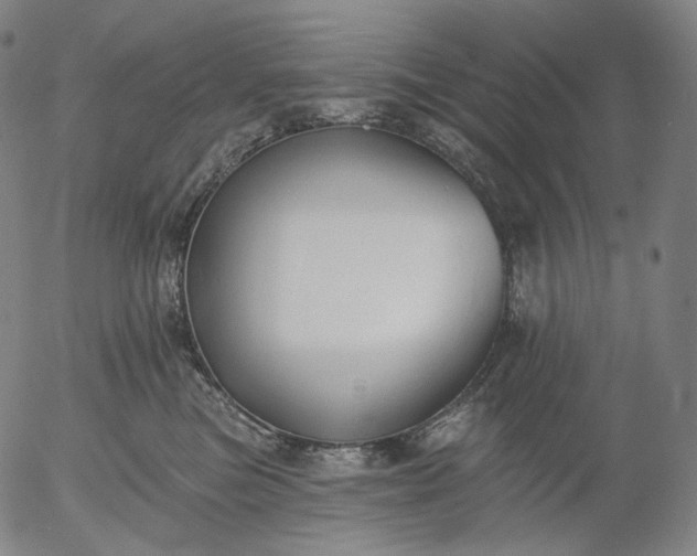 X0000055990473200509021643