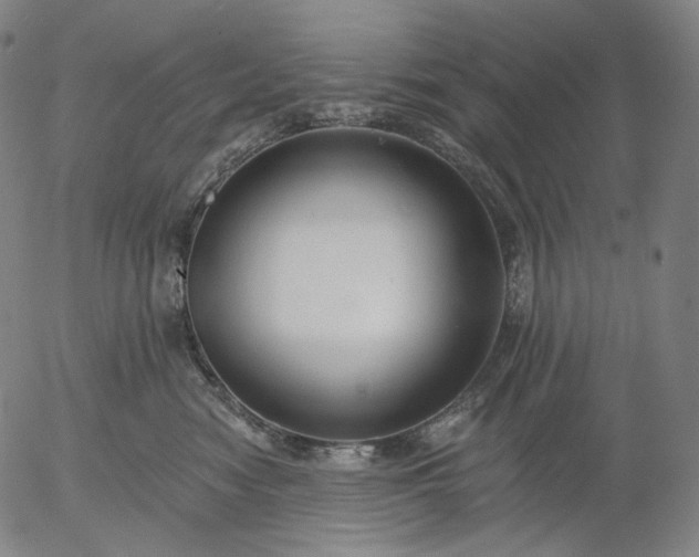 X0000055990474200509021643