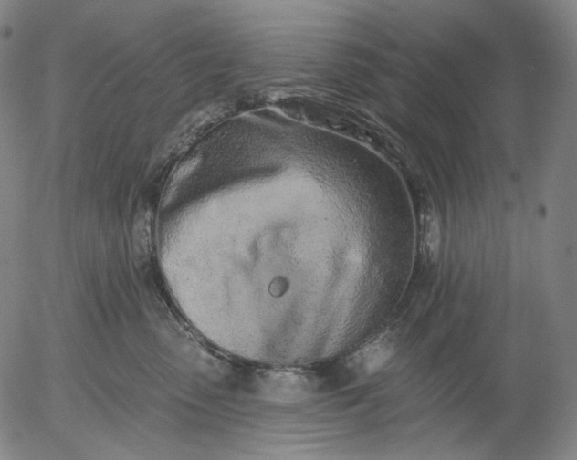 X0000055990475200509021643