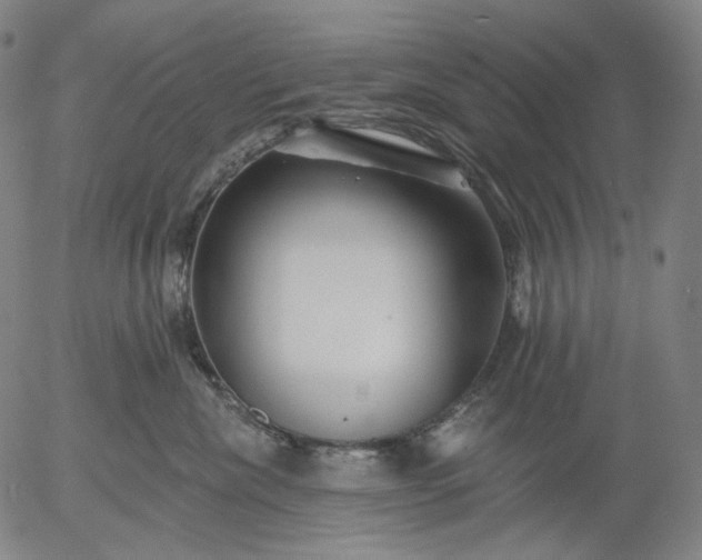 X0000055990476200509021643