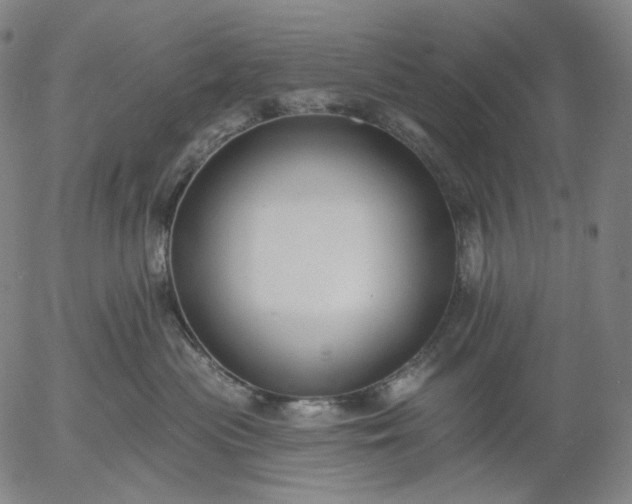 X0000055990477200509021643