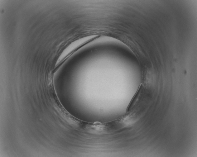 X0000055990478200509021643