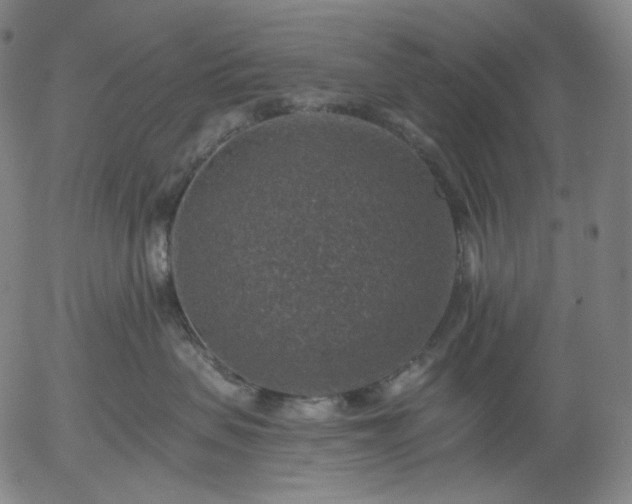 X0000055990479200509021643