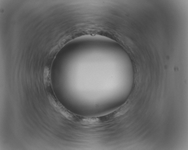 X0000055990480200509021643