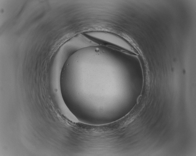 X0000055990481200509021642