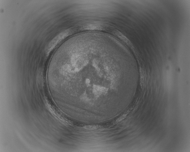 X0000055990482200509021642