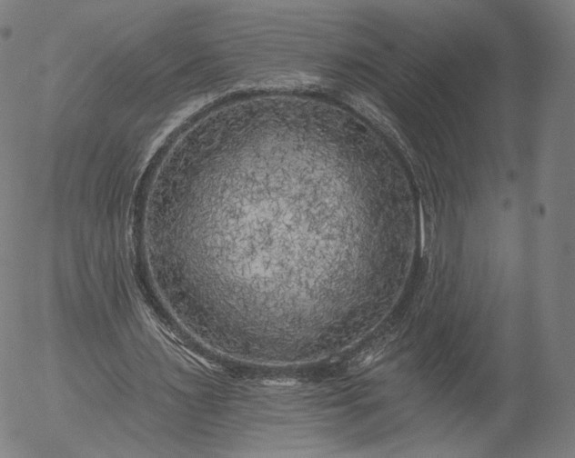 X0000055990483200509021642