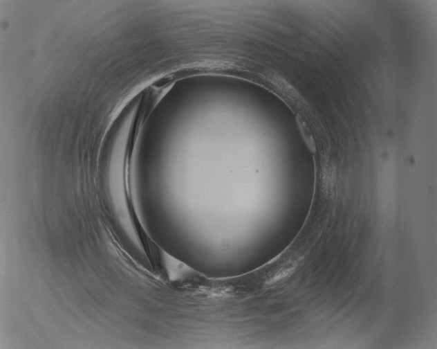 X0000055990484200509021642