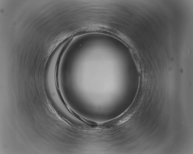 X0000055990485200509021642