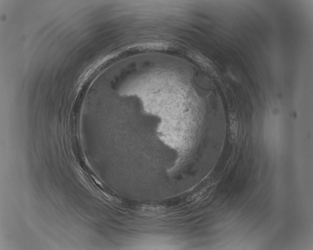 X0000055990487200509021642