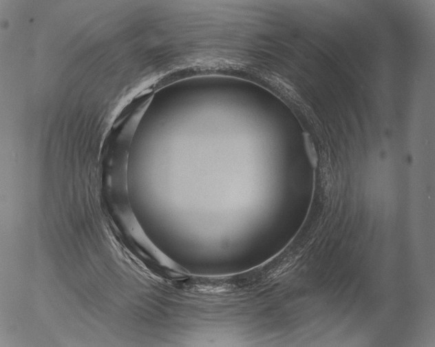 X0000055990488200509021642