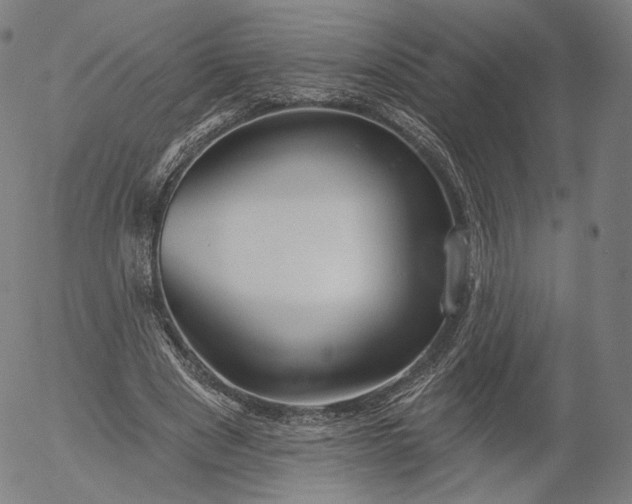 X0000055990489200509021642