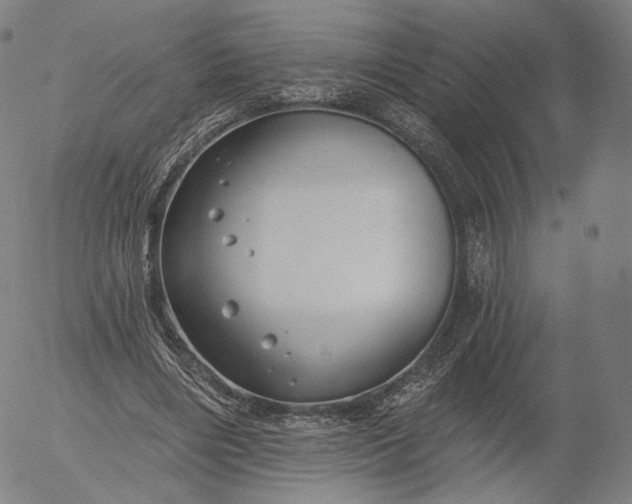 X0000055990490200509021642