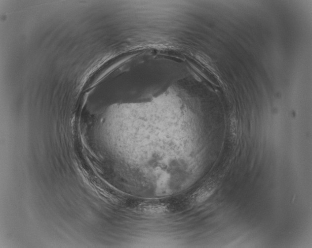 X0000055990491200509021642