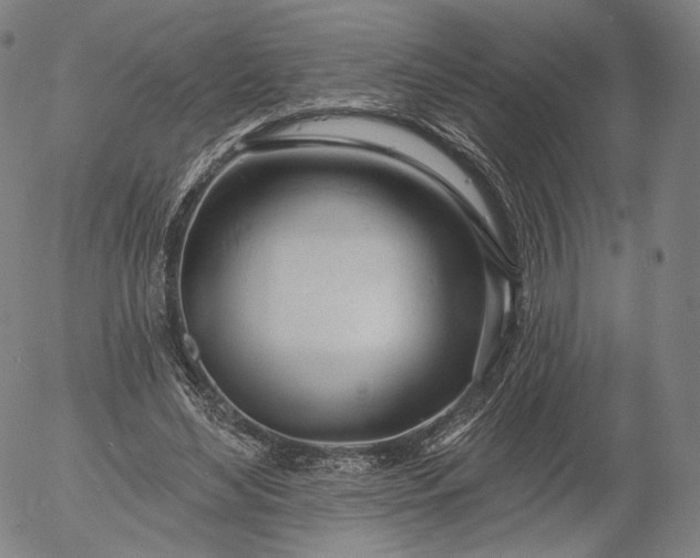 X0000055990492200509021642