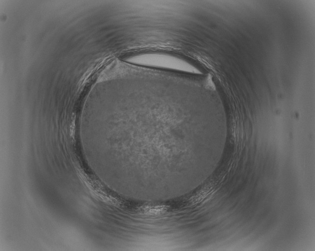 X0000055990495200509021642