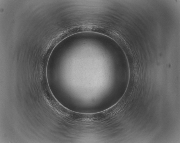 X0000055990496200509021642