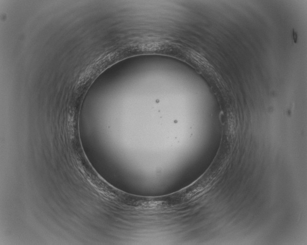 X0000055990497200509021642