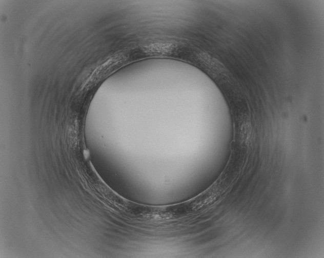 X0000055990498200509021642