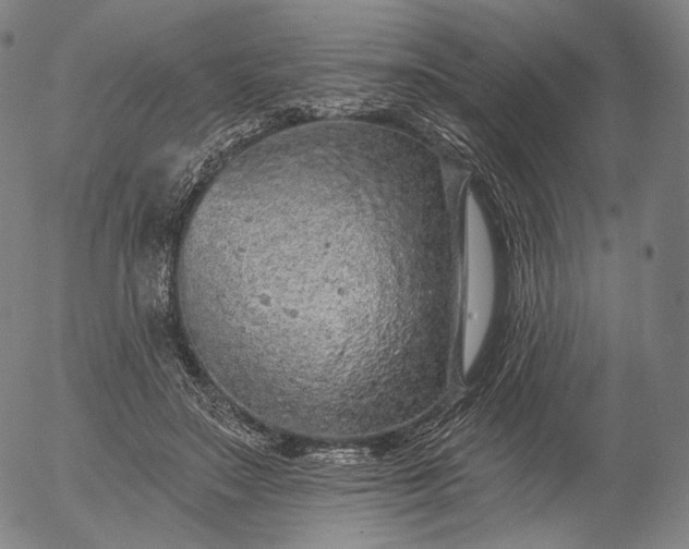 X0000055990499200509021642