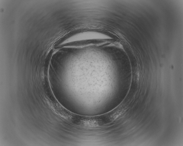 X0000055990500200509021642